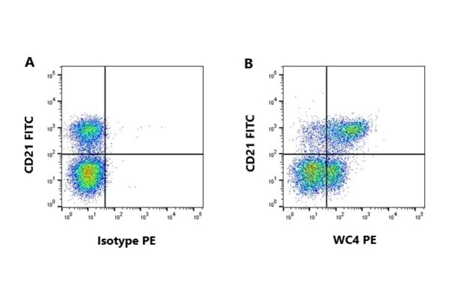 Flow Cytometry - Anti-WC4 Antibody [CC55] (A280054) - Antibodies.com