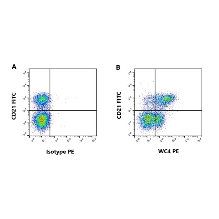 Flow Cytometry - Anti-WC4 Antibody [CC55] (A280054) - Antibodies.com