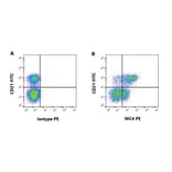 Flow Cytometry - Anti-WC4 Antibody [CC55] (A280054) - Antibodies.com