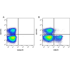 Flow Cytometry - Anti-CD8 beta Antibody [CC58] (PE) (A280055) - Antibodies.com