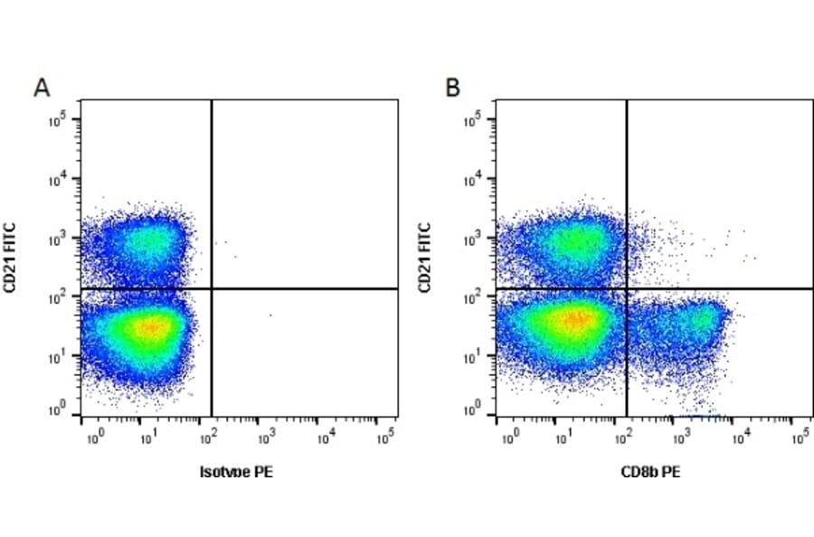 Flow Cytometry - Anti-CD8 beta Antibody [CC58] (PE) (A280055) - Antibodies.com