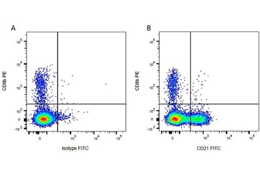 Flow Cytometry - Anti-CD8 beta Antibody [CC58] (PE) (A280055) - Antibodies.com