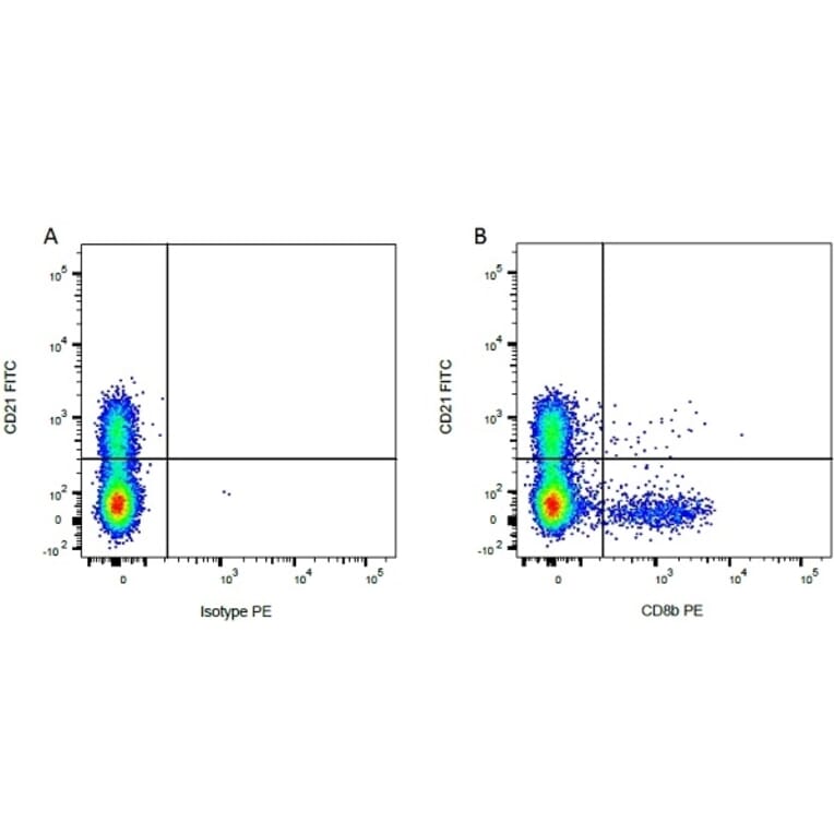 Flow Cytometry - Anti-CD8 beta Antibody [CC58] (PE) (A280055) - Antibodies.com