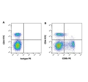 Flow Cytometry - Anti-CD8 beta Antibody [CC58] (A280056) - Antibodies.com