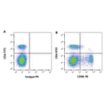 Flow Cytometry - Anti-CD8 beta Antibody [CC58] (A280056) - Antibodies.com