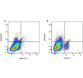Flow Cytometry - Anti-CD8 Antibody [CC63] (FITC) (A280057) - Antibodies.com