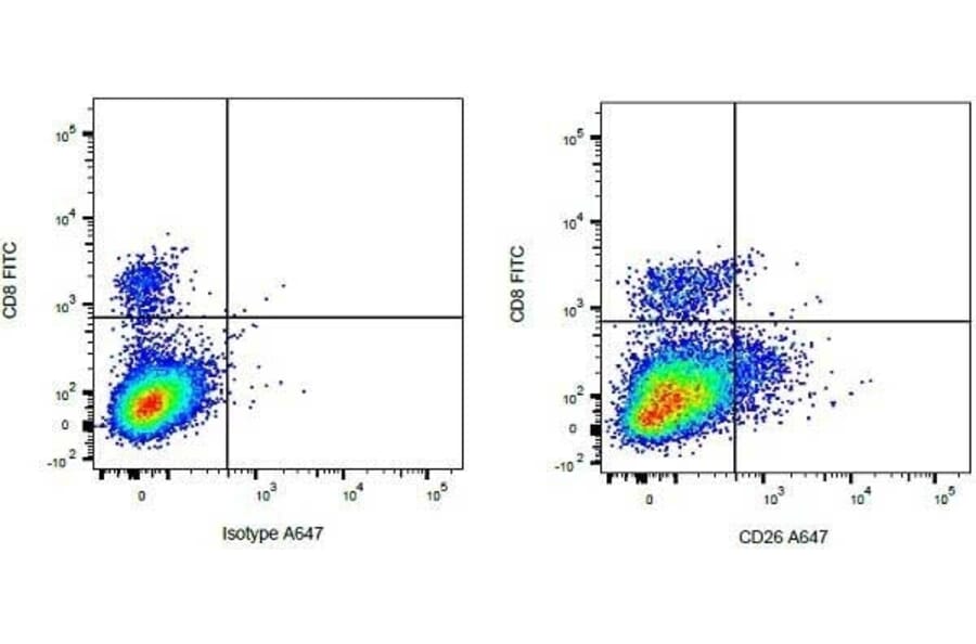 Flow Cytometry - Anti-CD8 Antibody [CC63] (FITC) (A280057) - Antibodies.com