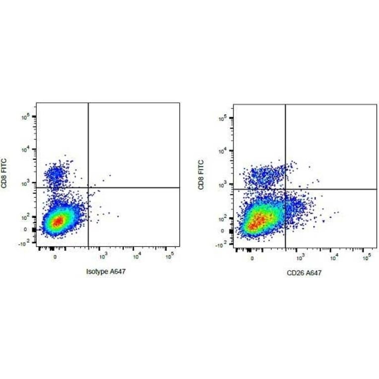 Flow Cytometry - Anti-CD8 Antibody [CC63] (FITC) (A280057) - Antibodies.com
