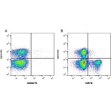 Flow Cytometry - Anti-CD8 Antibody [CC63] (PE) (A280058) - Antibodies.com