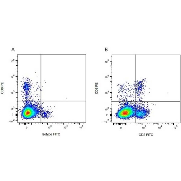 Flow Cytometry - Anti-CD8 Antibody [CC63] (PE) (A280058) - Antibodies.com