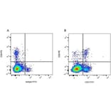 Flow Cytometry - Anti-CD8 Antibody [CC63] (PE) (A280058) - Antibodies.com