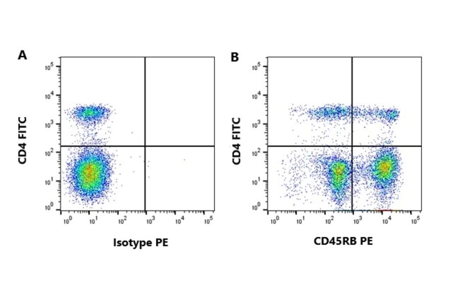 Flow Cytometry - Anti-CD45RB Antibody [CC76] (A280062) - Antibodies.com