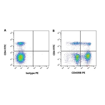 Flow Cytometry - Anti-CD45RB Antibody [CC76] (A280062) - Antibodies.com