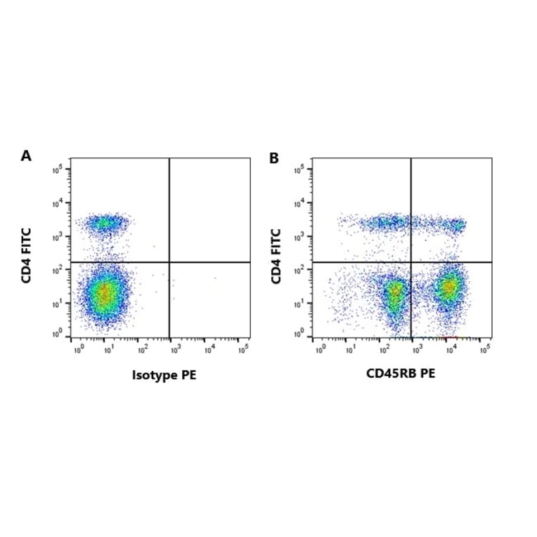 Flow Cytometry - Anti-CD45RB Antibody [CC76] (A280062) - Antibodies.com