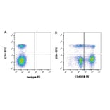 Flow Cytometry - Anti-CD45RB Antibody [CC76] (A280062) - Antibodies.com