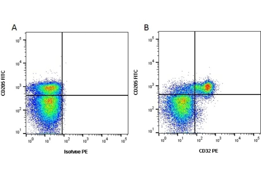 Flow Cytometry - Anti-CD32 Antibody [CCG36] (PE) (A280073) - Antibodies.com