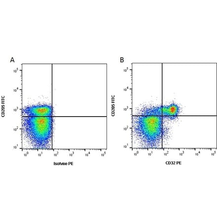 Flow Cytometry - Anti-CD32 Antibody [CCG36] (PE) (A280073) - Antibodies.com