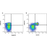 Flow Cytometry - Anti-CD32 Antibody [CCG36] (PE) (A280073) - Antibodies.com