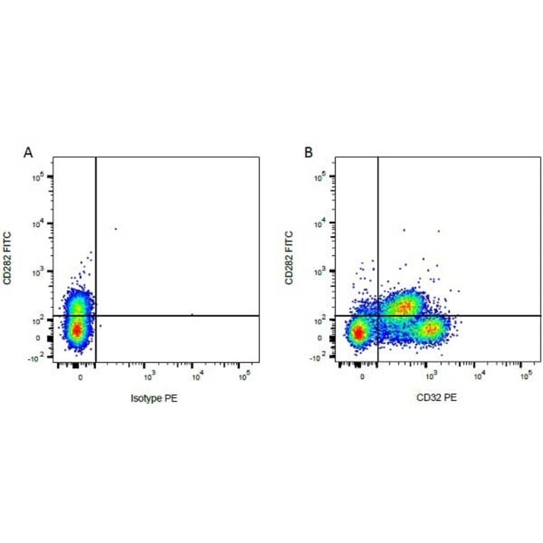 Flow Cytometry - Anti-CD32 Antibody [CCG36] (PE) (A280073) - Antibodies.com