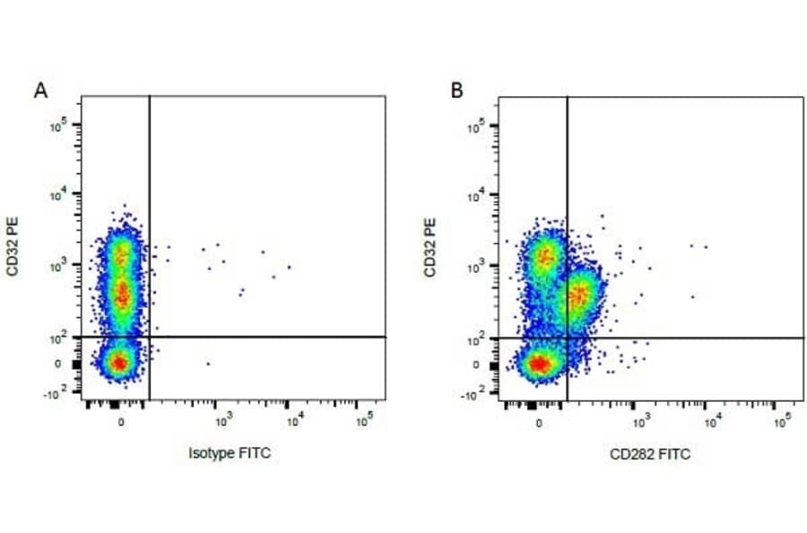 Flow Cytometry - Anti-CD32 Antibody [CCG36] (PE) (A280073) - Antibodies.com