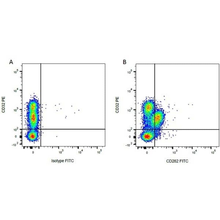 Flow Cytometry - Anti-CD32 Antibody [CCG36] (PE) (A280073) - Antibodies.com