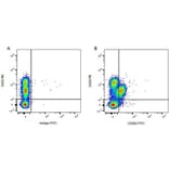 Flow Cytometry - Anti-CD32 Antibody [CCG36] (PE) (A280073) - Antibodies.com