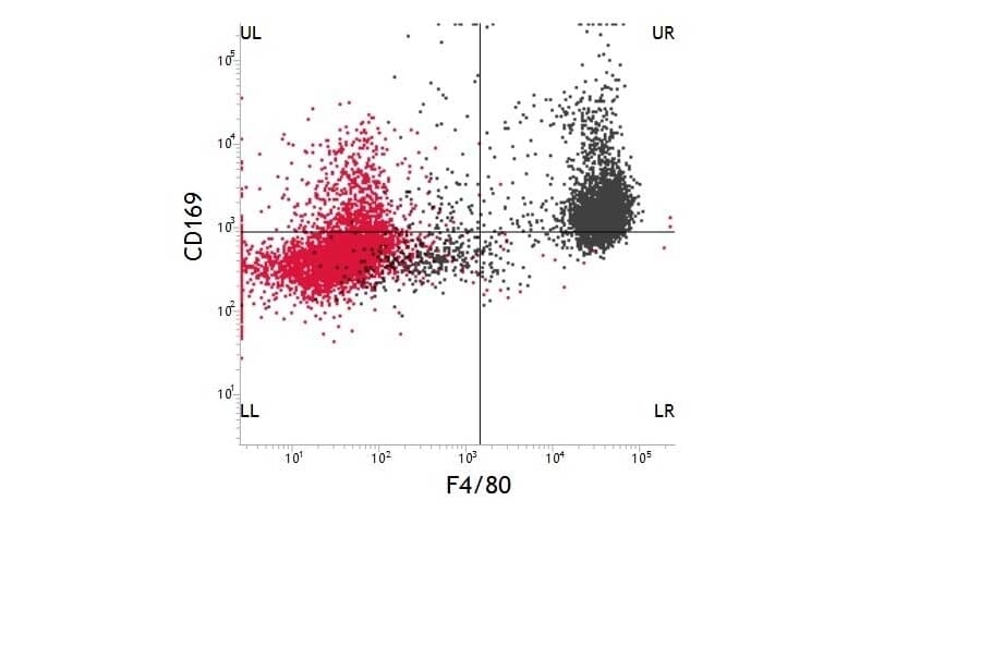 Dot Blot - Anti-F4/80 Antibody [Cl:A3-1] (APC) (A280100) - Antibodies.com