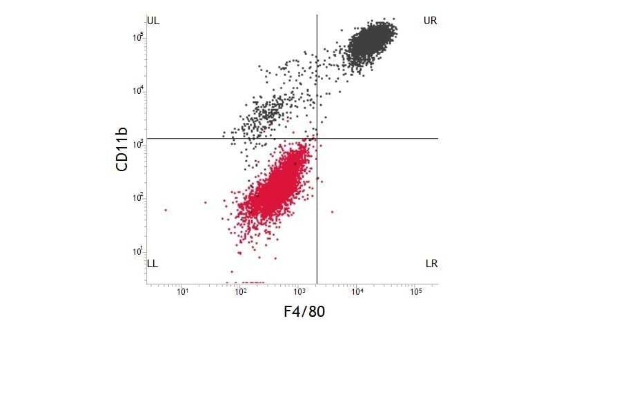 Dot Blot - Anti-F4/80 Antibody [Cl:A3-1] (FITC) (A280105) - Antibodies.com