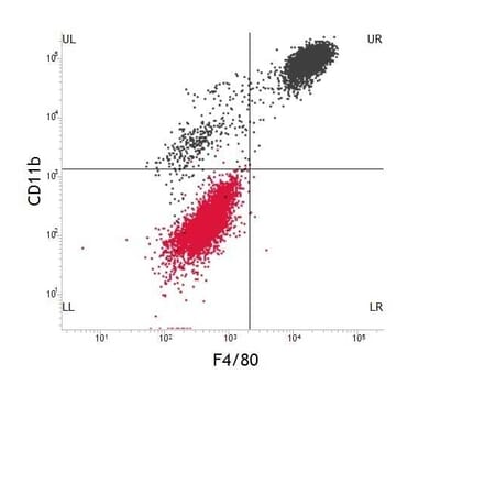 Dot Blot - Anti-F4/80 Antibody [Cl:A3-1] (FITC) (A280105) - Antibodies.com