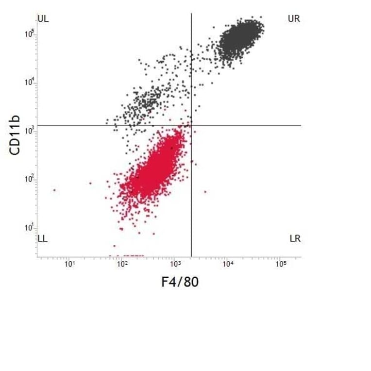 Dot Blot - Anti-F4/80 Antibody [Cl:A3-1] (FITC) (A280105) - Antibodies.com