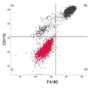 Dot Blot - Anti-F4/80 Antibody [Cl:A3-1] (FITC) (A280105) - Antibodies.com