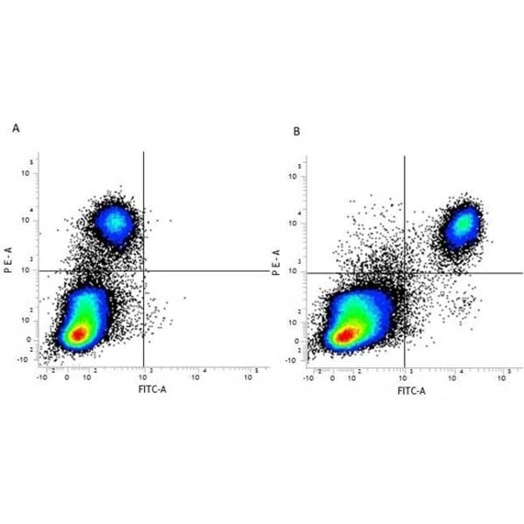 Flow Cytometry - Anti-F4/80 Antibody [Cl:A3-1] (FITC) (A280105) - Antibodies.com