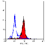 Flow Cytometry - Anti-CD31 Antibody [CO.3E1D4] (A280125) - Antibodies.com