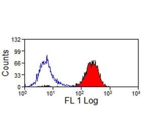 Flow Cytometry - Anti-CD44 Antibody [CVS18] (FITC) (A280157) - Antibodies.com