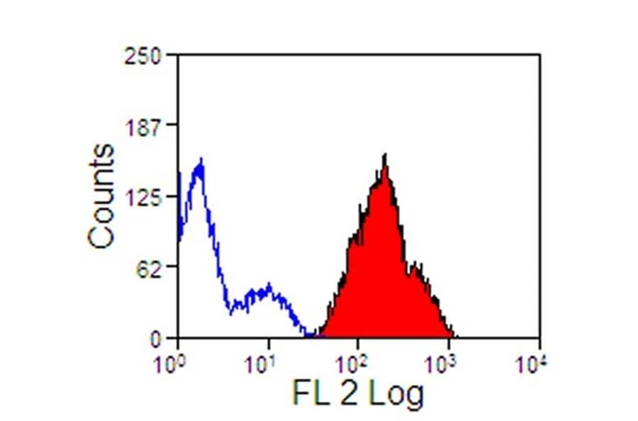 Flow Cytometry - Anti-CD44 Antibody [CVS18] (FITC) (A280157) - Antibodies.com