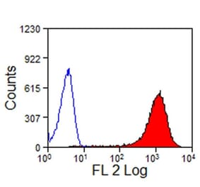 Flow Cytometry - Anti-CD13 Antibody [CVS19] (PE) (A280161) - Antibodies.com