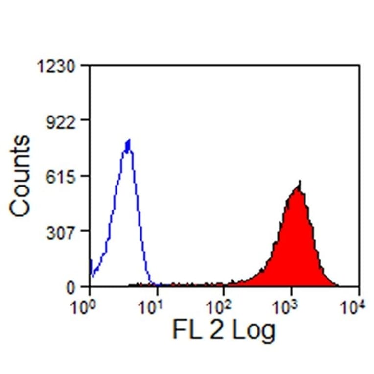Flow Cytometry - Anti-CD13 Antibody [CVS19] (PE) (A280161) - Antibodies.com