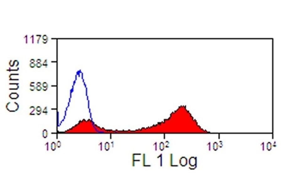 Flow Cytometry - Anti-CD13 Antibody [CVS19] (A280162) - Antibodies.com