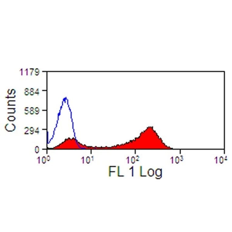 Flow Cytometry - Anti-CD13 Antibody [CVS19] (A280162) - Antibodies.com