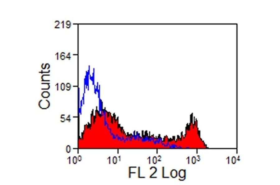 Flow Cytometry - Anti-CD8 Antibody [CVS21] (PE) (A280167) - Antibodies.com