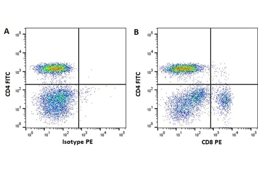 Flow Cytometry - Anti-CD8 Antibody [CVS21] (PE) (A280167) - Antibodies.com