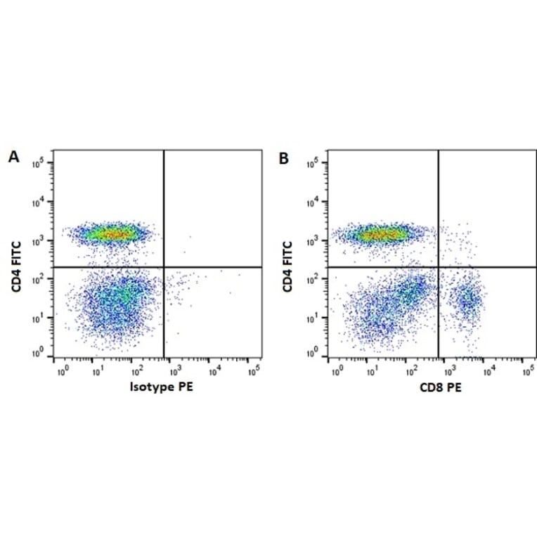 Flow Cytometry - Anti-CD8 Antibody [CVS21] (PE) (A280167) - Antibodies.com
