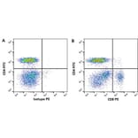 Flow Cytometry - Anti-CD8 Antibody [CVS21] (PE) (A280167) - Antibodies.com