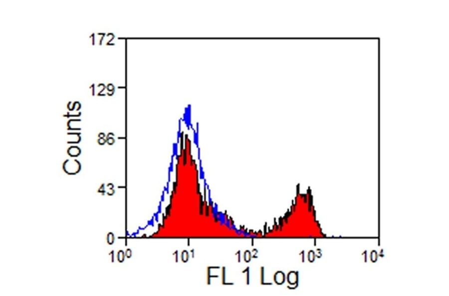 Flow Cytometry - Anti-CD8 Antibody [CVS21] (A280168) - Antibodies.com