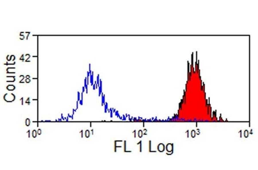 Flow Cytometry - Anti-MHC Class I Monomorphic Antibody [CVS22] (FITC) (A280169) - Antibodies.com