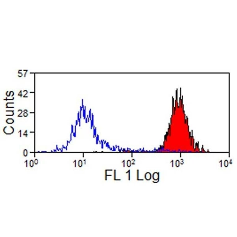 Flow Cytometry - Anti-MHC Class I Monomorphic Antibody [CVS22] (FITC) (A280169) - Antibodies.com