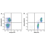 Flow Cytometry - Anti-MHC Class I Monomorphic Antibody [CVS22] (FITC) (A280169) - Antibodies.com