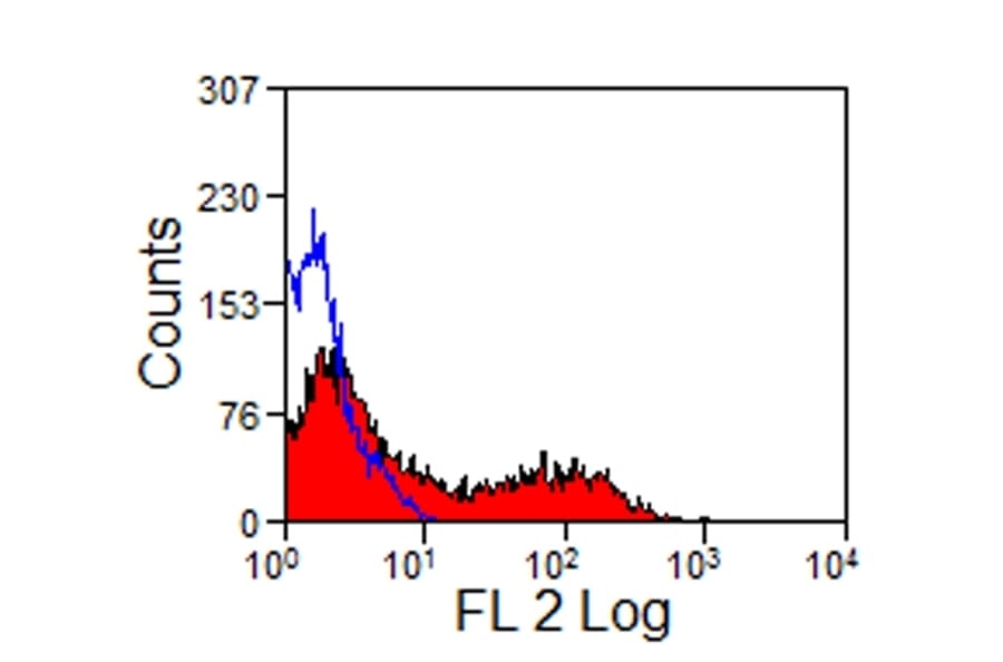 Flow Cytometry - Anti-Pan B-Cells Antibody [CVS36] (PE) (A280173) - Antibodies.com