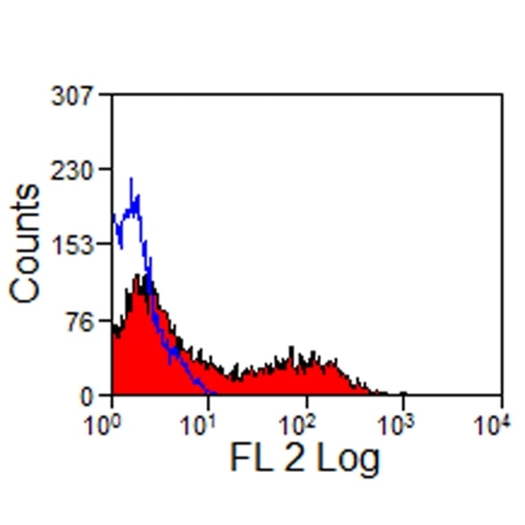 Flow Cytometry - Anti-Pan B-Cells Antibody [CVS36] (PE) (A280173) - Antibodies.com