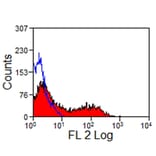 Flow Cytometry - Anti-Pan B-Cells Antibody [CVS36] (PE) (A280173) - Antibodies.com
